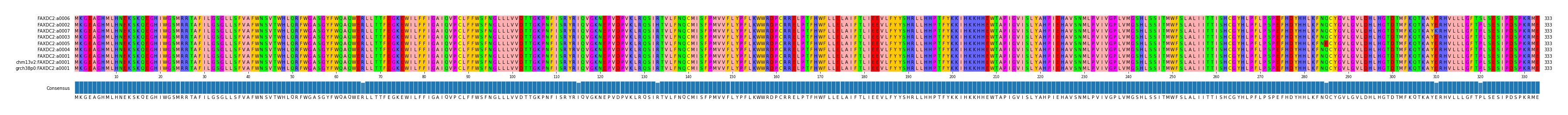 Multiple Alignments (by translate haplotype similarity)