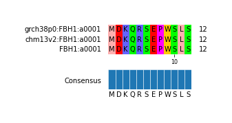 Multiple Alignments (by translate haplotype similarity)