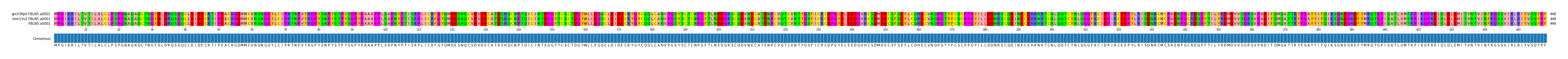 Multiple Alignments (by translate haplotype similarity)