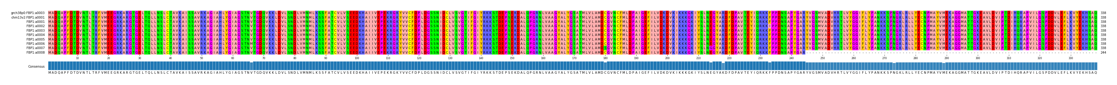 Multiple Alignments (by translate haplotype frequency)