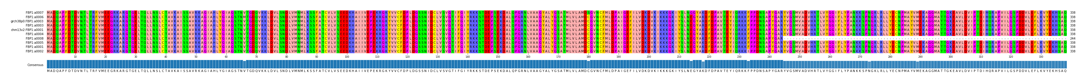 Multiple Alignments (by translate haplotype similarity)