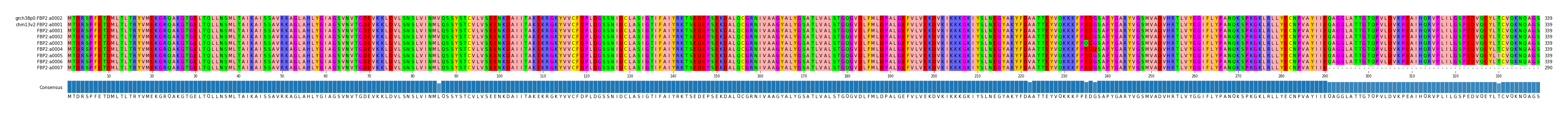 Multiple Alignments (by translate haplotype frequency)
