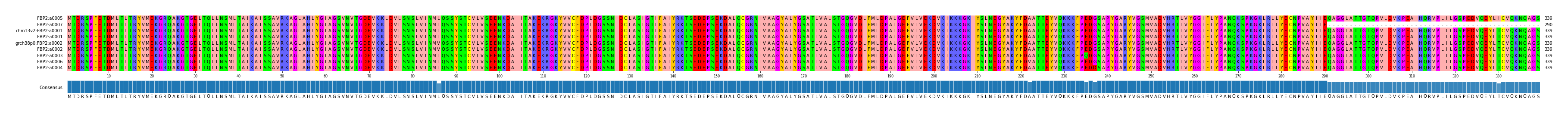 Multiple Alignments (by translate haplotype similarity)