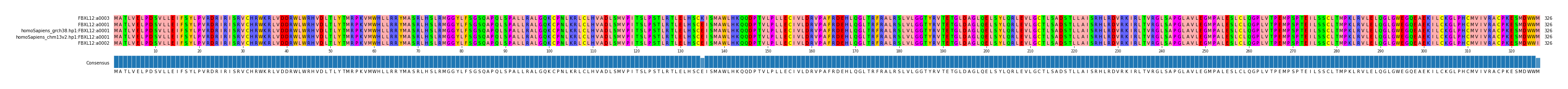Multiple Alignments (by translate haplotype similarity)