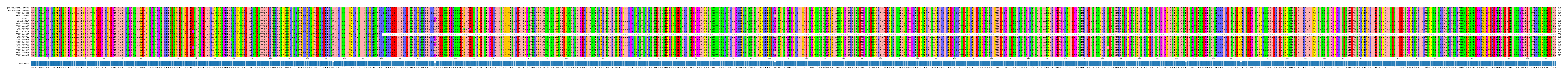 Multiple Alignments (by translate haplotype frequency)