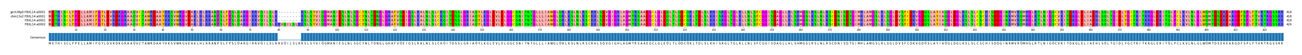 Multiple Alignments (by translate haplotype similarity)