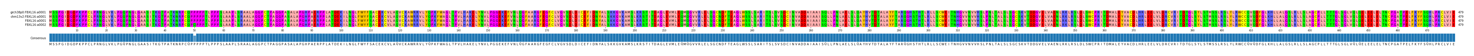Multiple Alignments (by translate haplotype frequency)