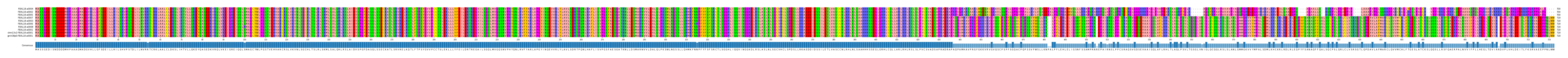 Multiple Alignments (by translate haplotype similarity)