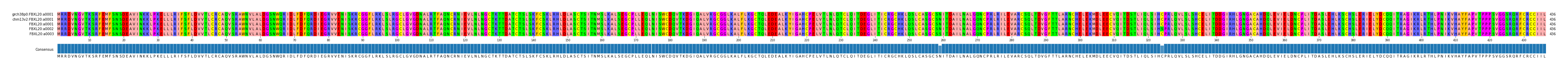Multiple Alignments (by translate haplotype frequency)