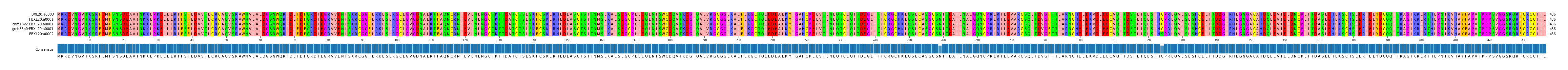 Multiple Alignments (by translate haplotype similarity)