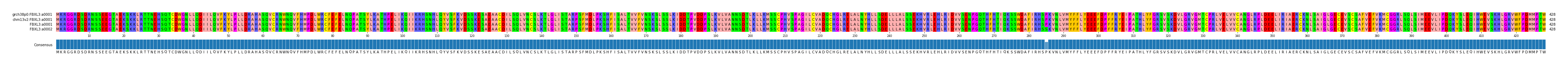 Multiple Alignments (by translate haplotype similarity)