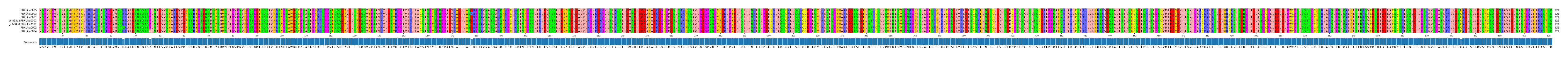 Multiple Alignments (by translate haplotype similarity)