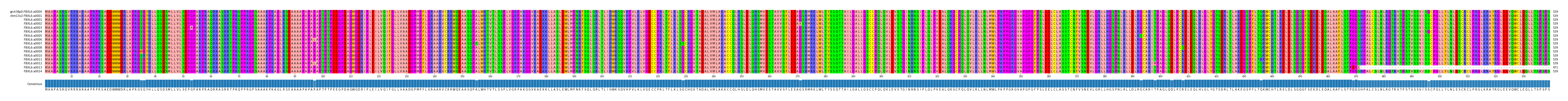 Multiple Alignments (by translate haplotype frequency)