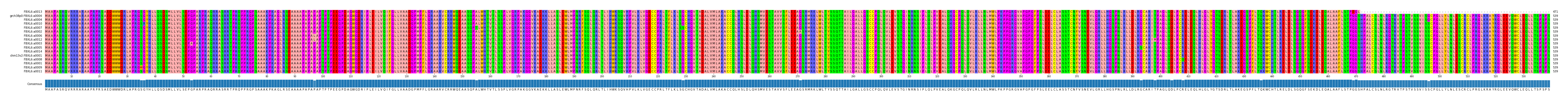 Multiple Alignments (by translate haplotype similarity)