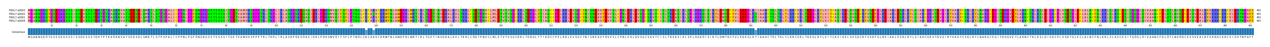 Multiple Alignments (by translate haplotype similarity)