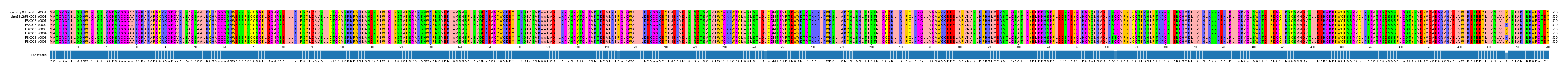 Multiple Alignments (by translate haplotype frequency)