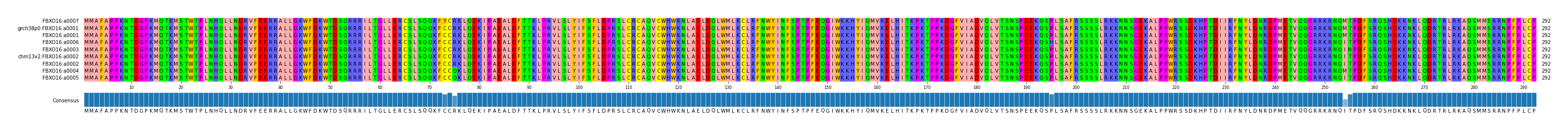 Multiple Alignments (by translate haplotype similarity)