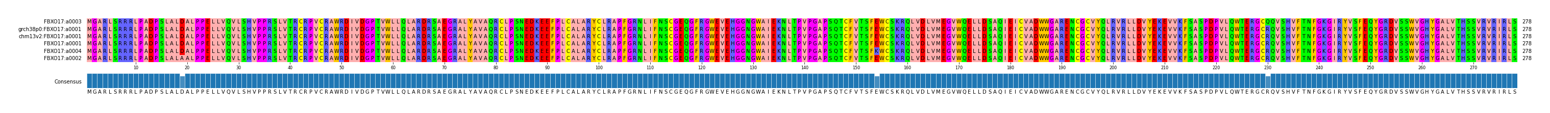 Multiple Alignments (by translate haplotype similarity)