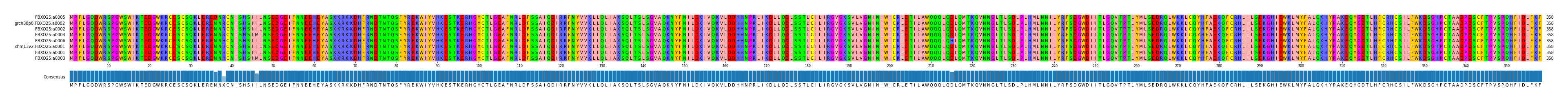 Multiple Alignments (by translate haplotype similarity)