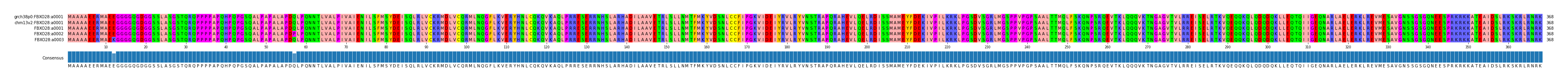 Multiple Alignments (by translate haplotype frequency)