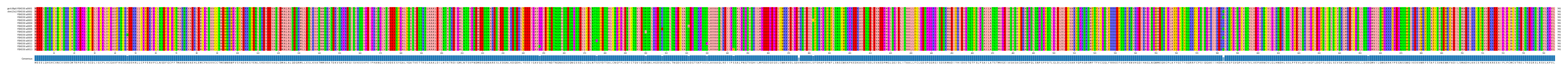 Multiple Alignments (by translate haplotype frequency)