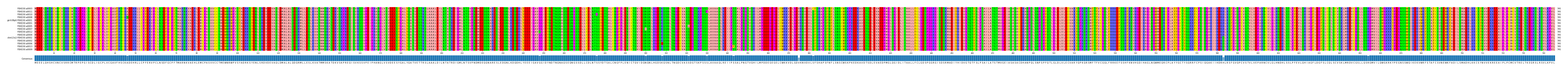 Multiple Alignments (by translate haplotype similarity)