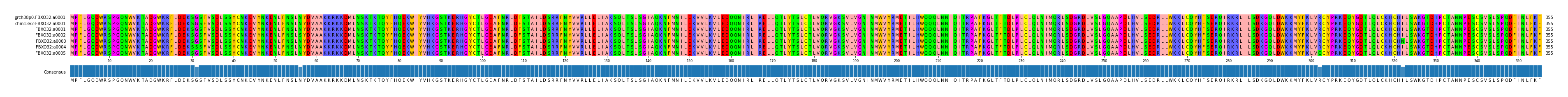 Multiple Alignments (by translate haplotype frequency)