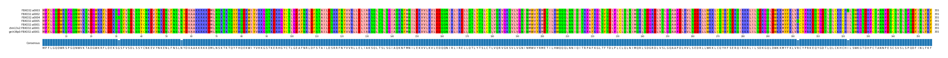 Multiple Alignments (by translate haplotype similarity)