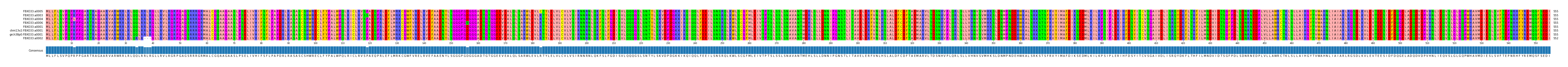 Multiple Alignments (by translate haplotype similarity)