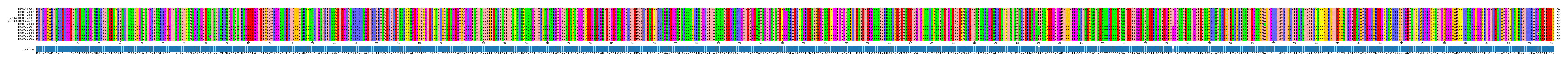 Multiple Alignments (by translate haplotype similarity)