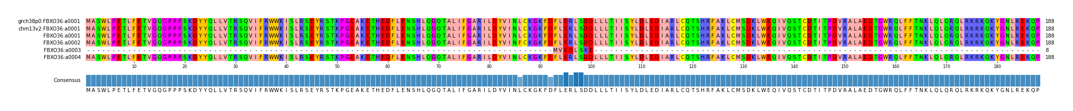 Multiple Alignments (by translate haplotype frequency)
