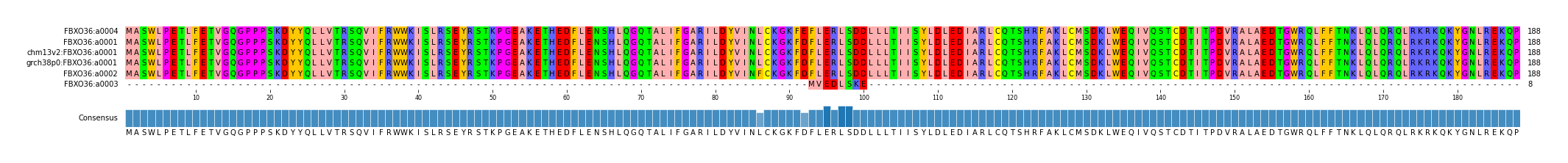 Multiple Alignments (by translate haplotype similarity)