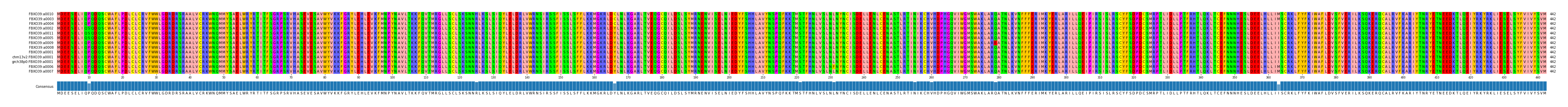 Multiple Alignments (by translate haplotype similarity)