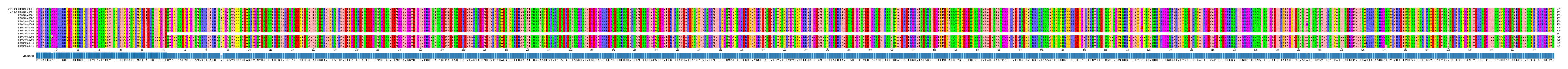 Multiple Alignments (by translate haplotype frequency)