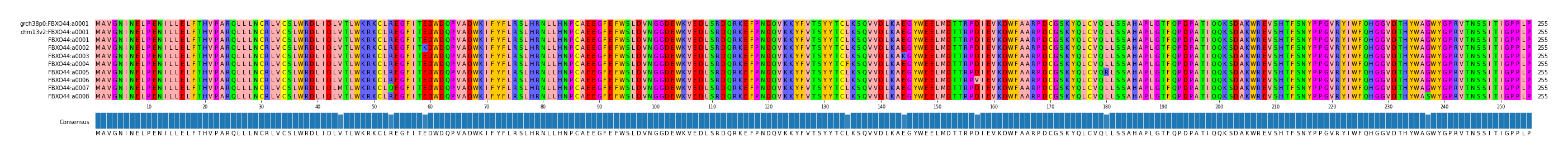 Multiple Alignments (by translate haplotype frequency)