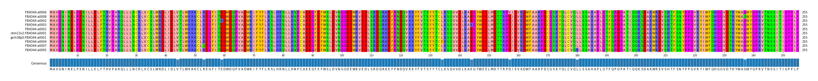 Multiple Alignments (by translate haplotype similarity)