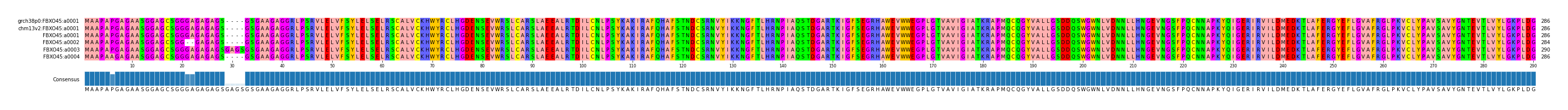 Multiple Alignments (by translate haplotype frequency)