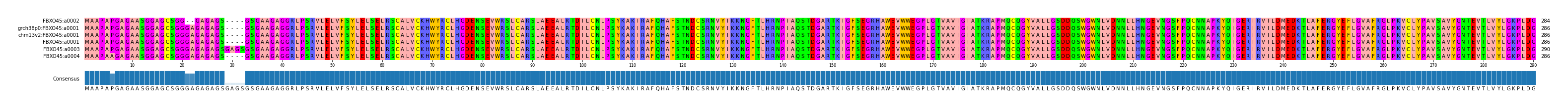 Multiple Alignments (by translate haplotype similarity)