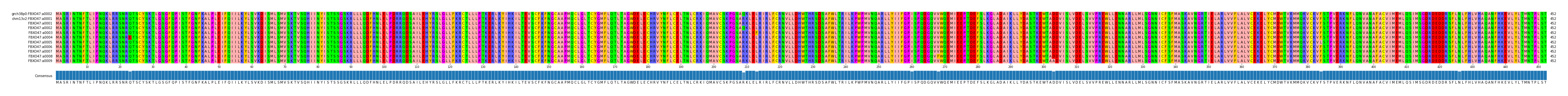 Multiple Alignments (by translate haplotype frequency)