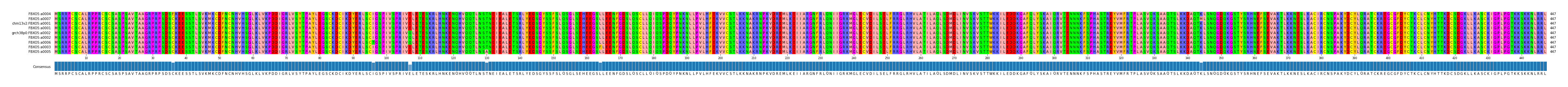 Multiple Alignments (by translate haplotype similarity)