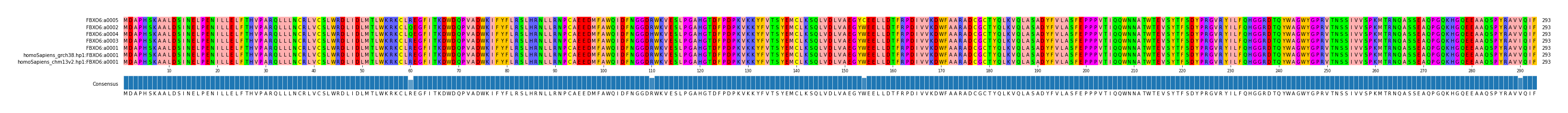 Multiple Alignments (by translate haplotype similarity)