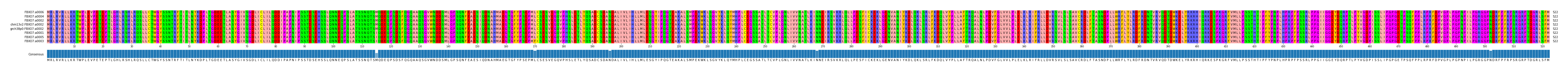 Multiple Alignments (by translate haplotype similarity)