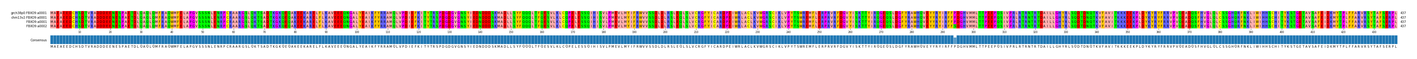 Multiple Alignments (by translate haplotype similarity)