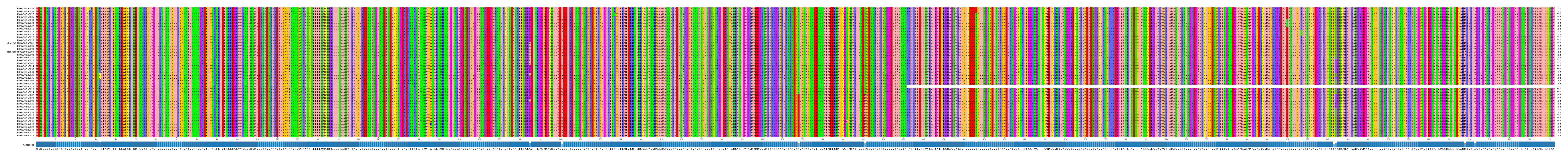 Multiple Alignments (by translate haplotype similarity)