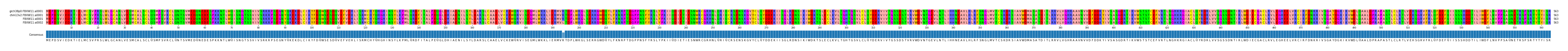 Multiple Alignments (by translate haplotype similarity)