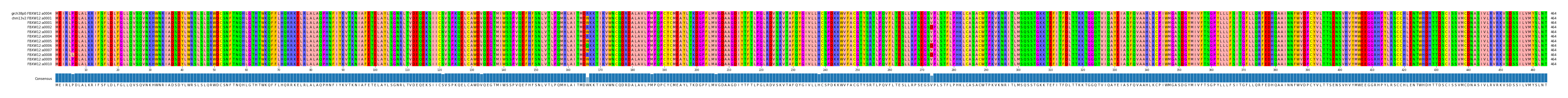 Multiple Alignments (by translate haplotype frequency)