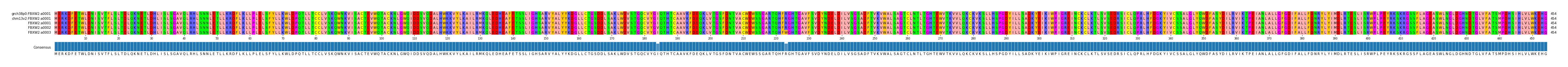 Multiple Alignments (by translate haplotype frequency)