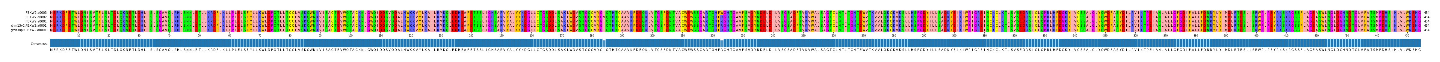 Multiple Alignments (by translate haplotype similarity)