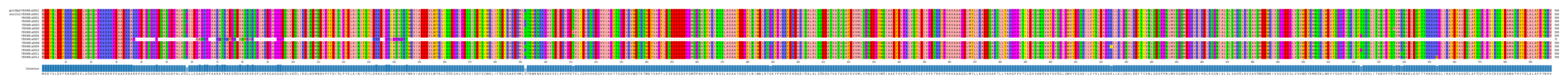 Multiple Alignments (by translate haplotype frequency)