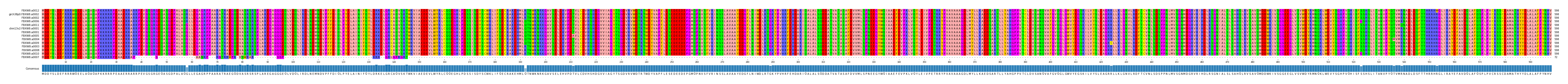 Multiple Alignments (by translate haplotype similarity)